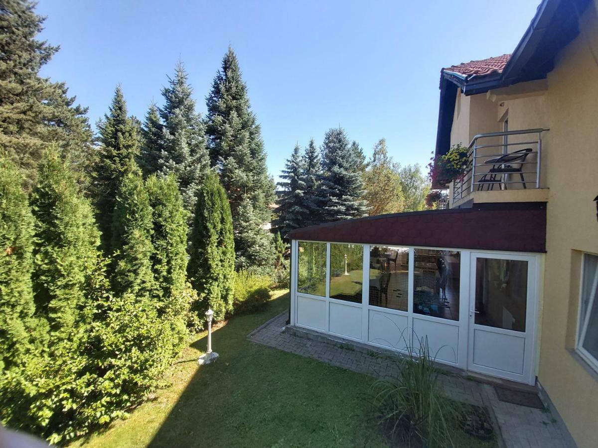Guesthouse Dabić Zlatibor Extérieur photo